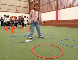 Actividades RODA