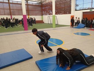 Actividades RODA