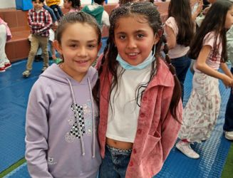 Actividades RODA