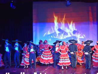 Actividades RODA