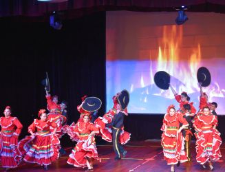 Actividades RODA