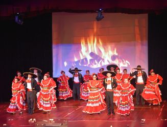 Actividades RODA