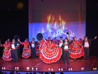 Actividades RODA