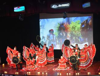 Actividades RODA