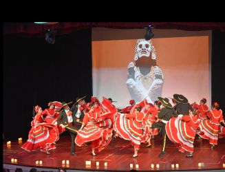Actividades RODA