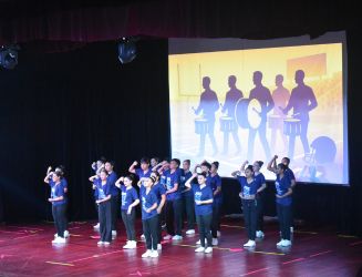 Actividades RODA