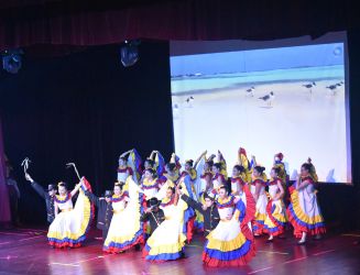 Actividades RODA