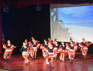 Actividades RODA