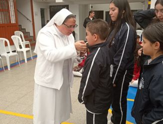 Actividades RODA
