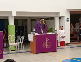 Actividades RODA