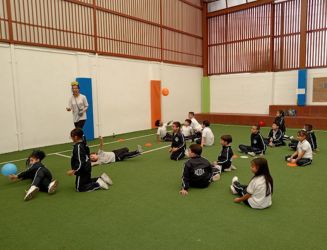 Actividades RODA