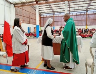 Actividades RODA