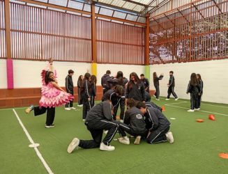 Actividades RODA